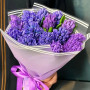 15 синих гиацинтов